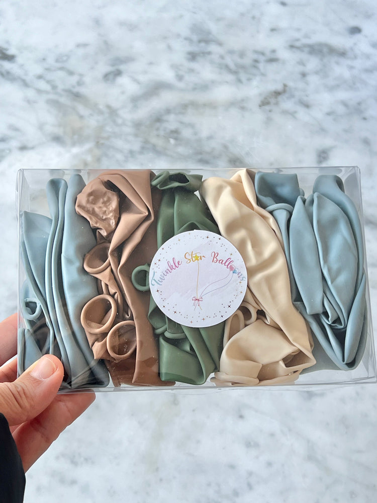 ONE SILLY GOOSE BALLOON GARLAND